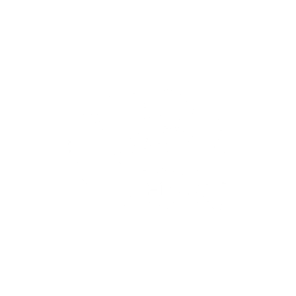 HARDI RECORDS